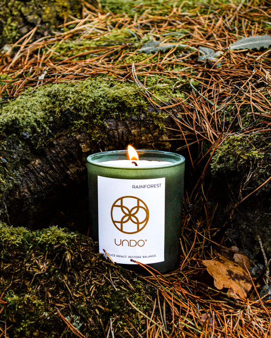 RAINFOREST Scented Candle